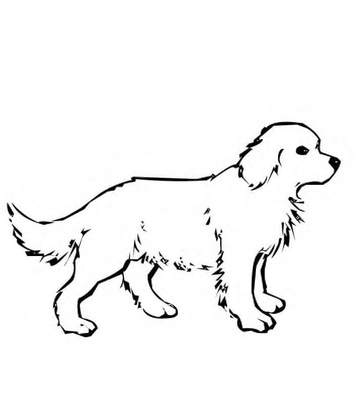 desenhos de cachorros para colorir cachorrinhos para pintar