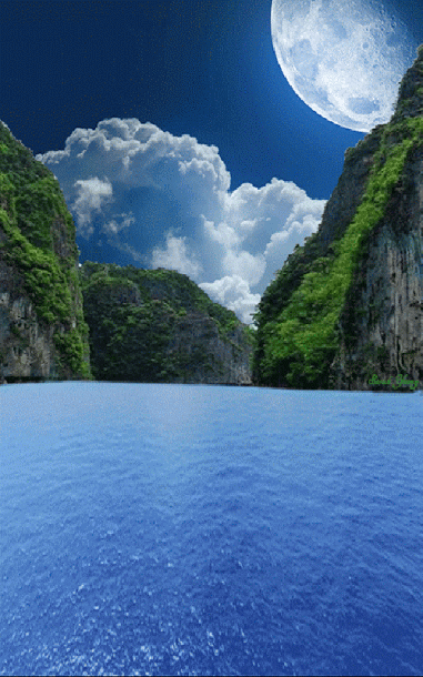 NATUREZA -Mar -Terra - GIFS: Rio