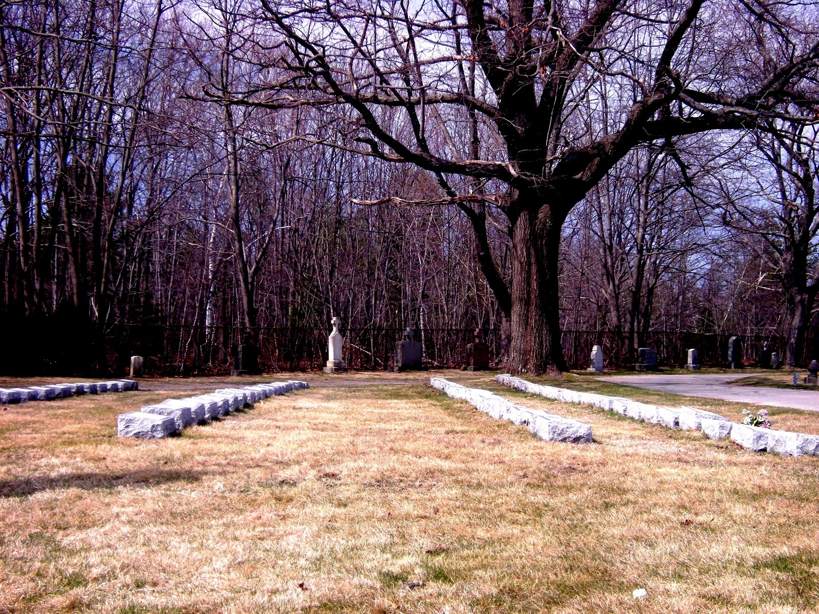 Graveyard Picnic Calvary Cemetery, South Portland Maine