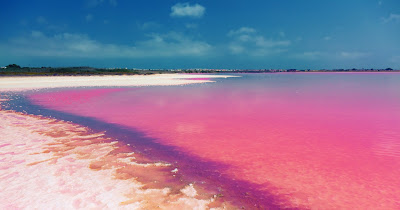 Lima Danau Berwarna Pink Paling Unik di Dunia Lima Danau Berwarna Pink Paling Unik di Dunia