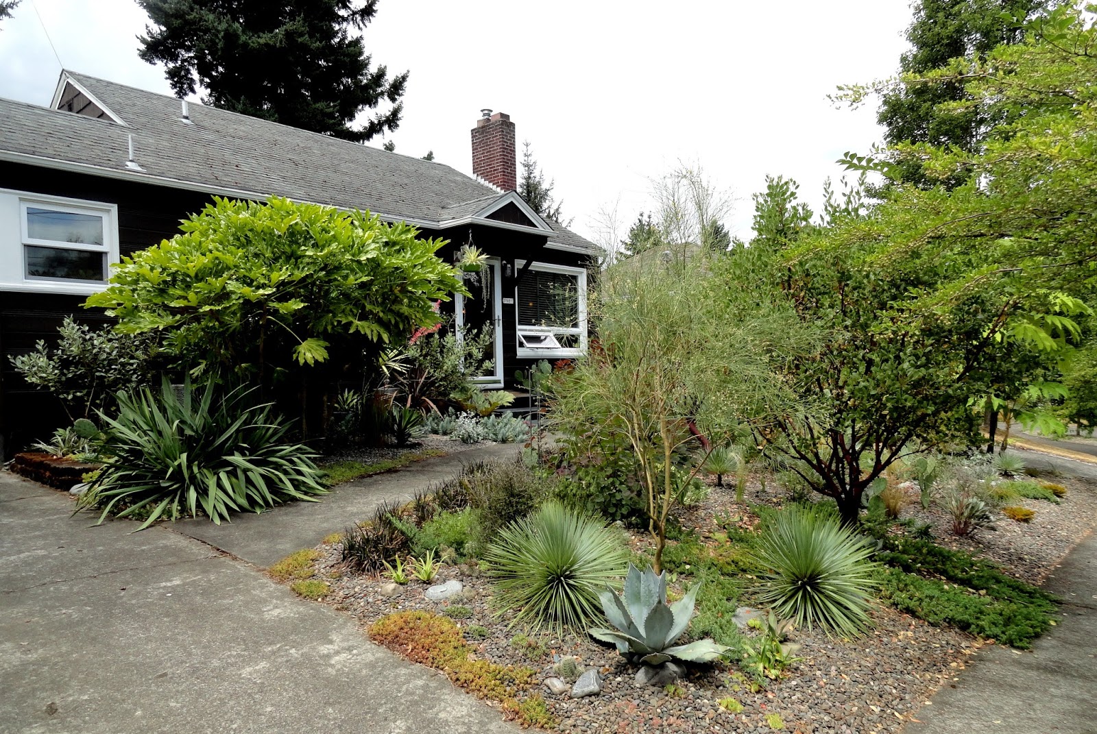 Pin By Jenee Wiemar On Front Yard Landscapes Front Yard