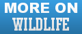 More on Wildlife