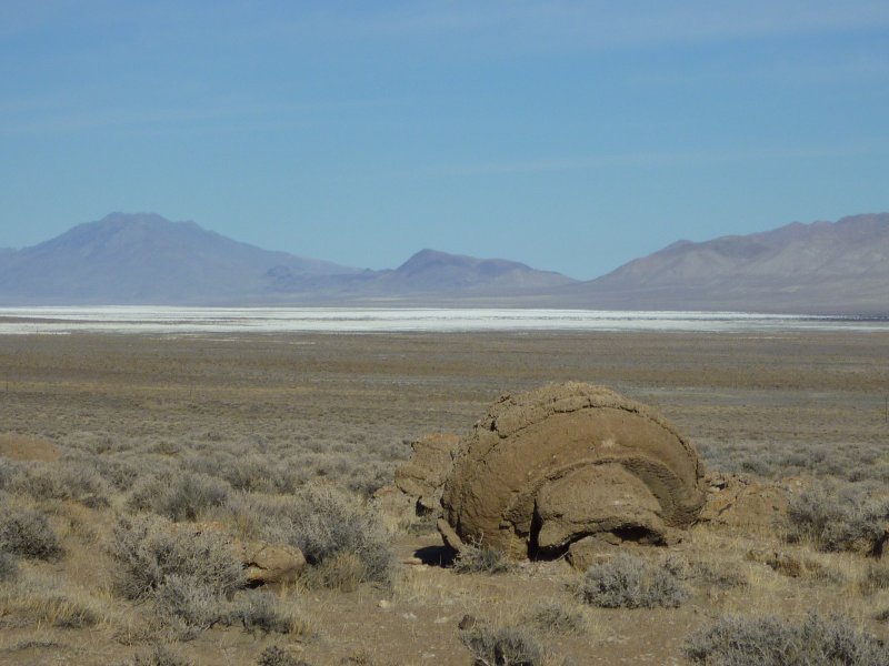 Trailing Ahead Concentric thinolite layers at Winnemucca Lake