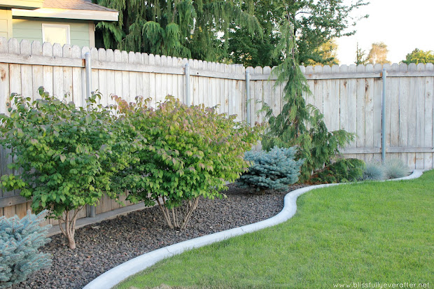 landscaping custom front yard