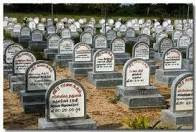 1420071_10201464288901685_1605319165_n.j