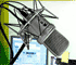 ฟังวิทยุออนไลน์ แก้วสาริกา radio วิทยุ แก้วสาริกา radio