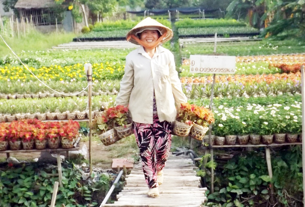 [Image: Chay-nuoc-rut-cho-vu-hoa-don-tet-o-Sa-Dec-3.jpg]