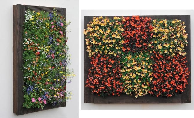 Desain Taman Vertikal Terbaik dan Inspiratif | Desain Taman Vertikal