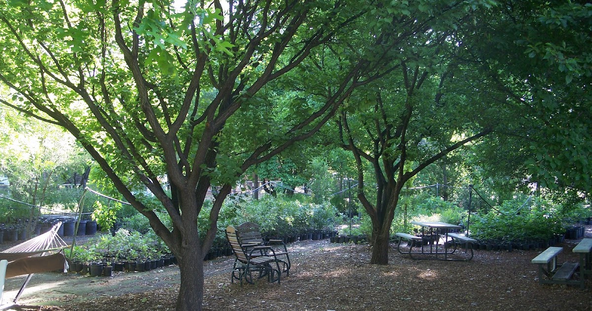 Trees That Please Nursery