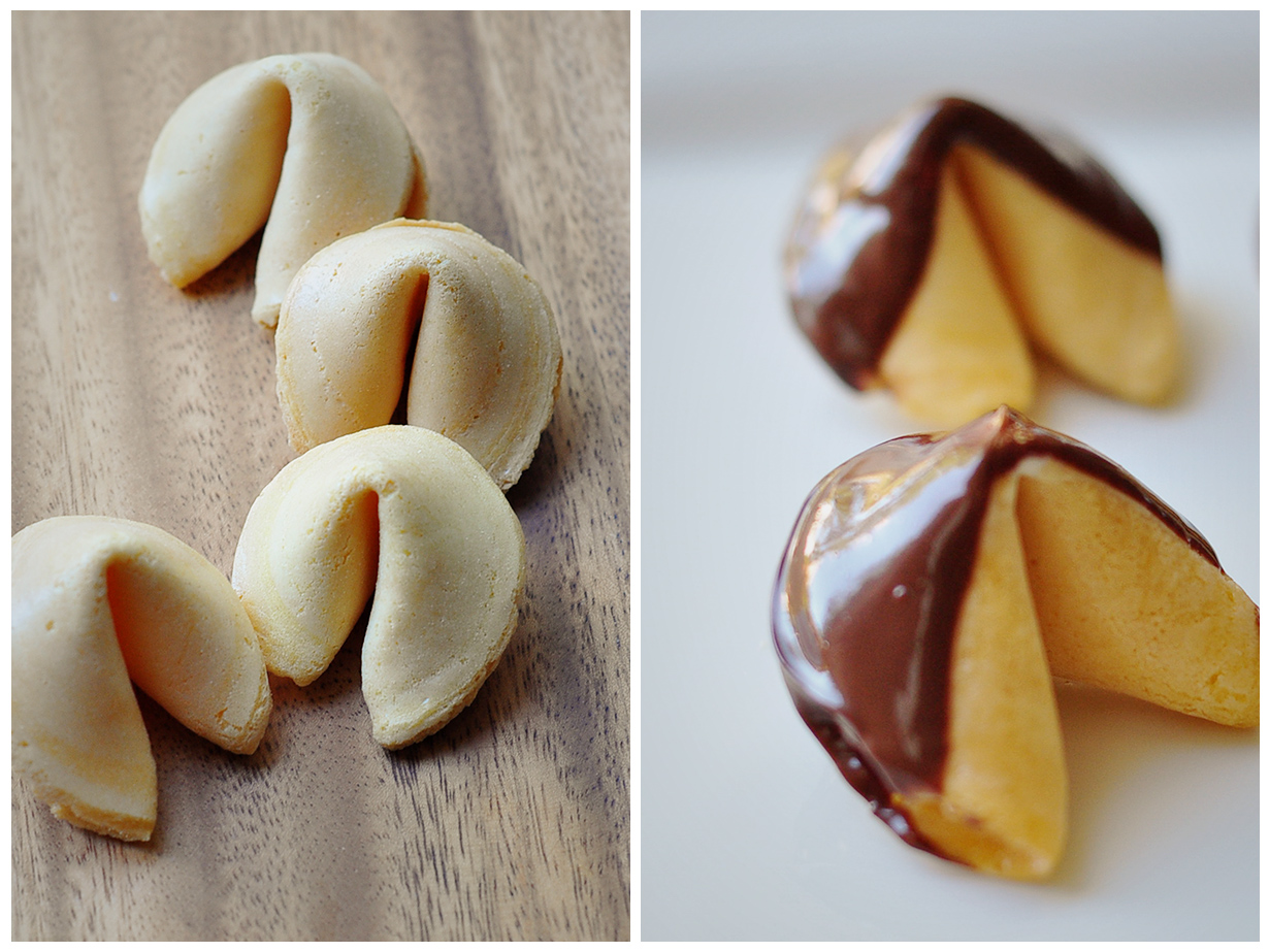 The Cheese Thief Chocolate Dipped Fortune Cookies