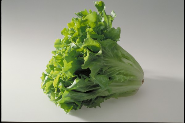 goed en gezond eten
