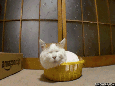 uCTLY.gif