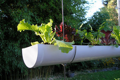 Cómo Diseñar un Jardín Colgante para este 2012 | Decoracion de salones