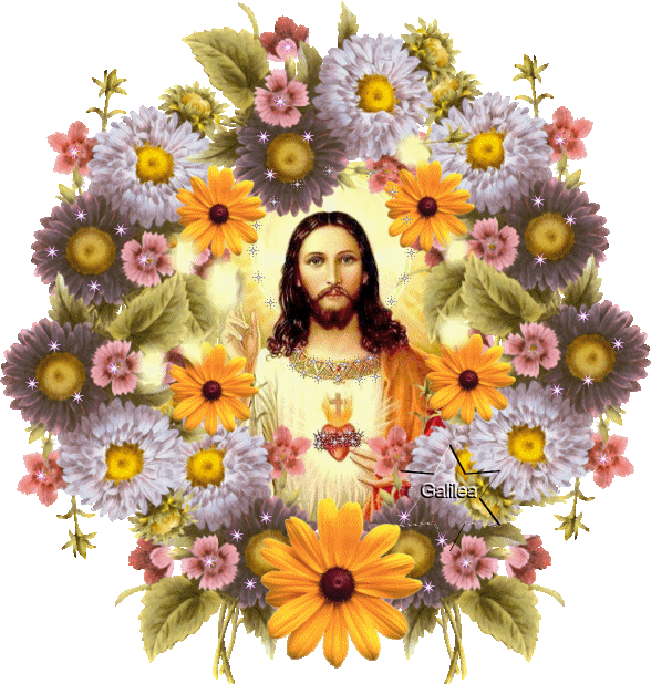 No todo el que me diga ¡Señor, Señor! entrará al Reino de los Cielos, sino el que HAGA la Voluntad de Dios.