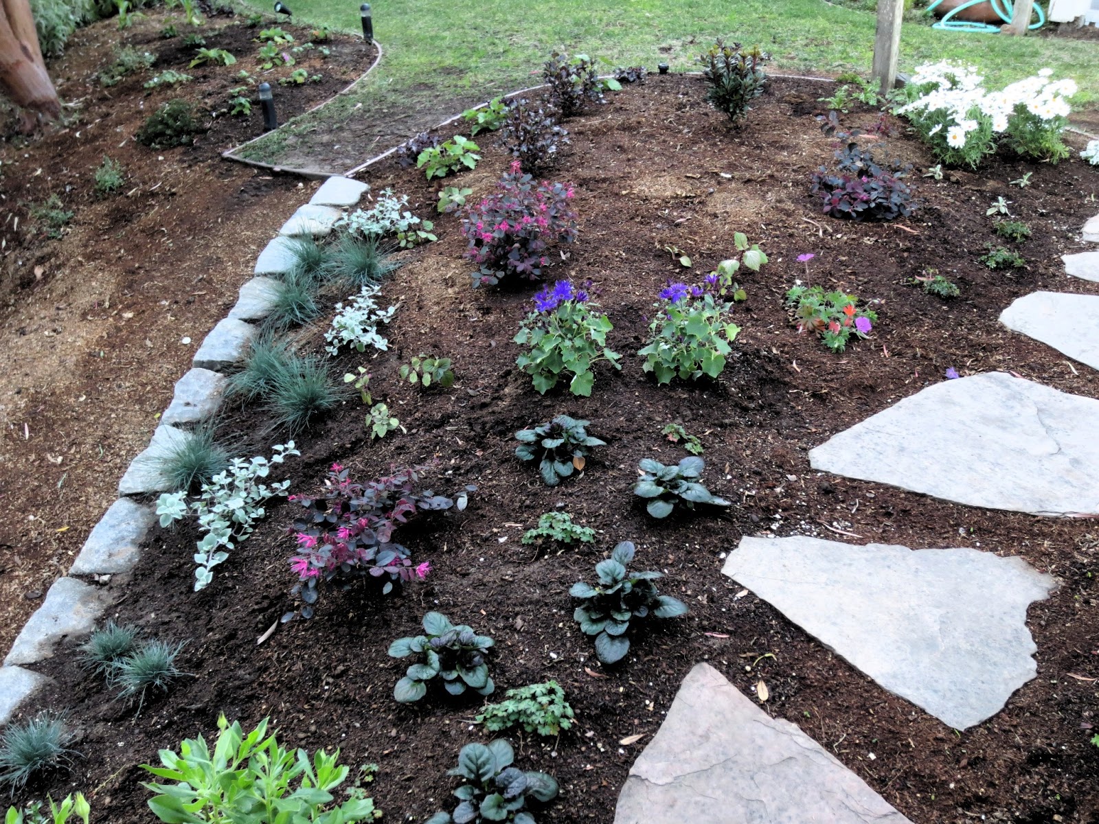 Late to the Garden Party New Planting Bed Part 2