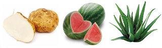 homemade acne mask - Bengkoang, Watermelon, Aloe Vera homemade acne mask