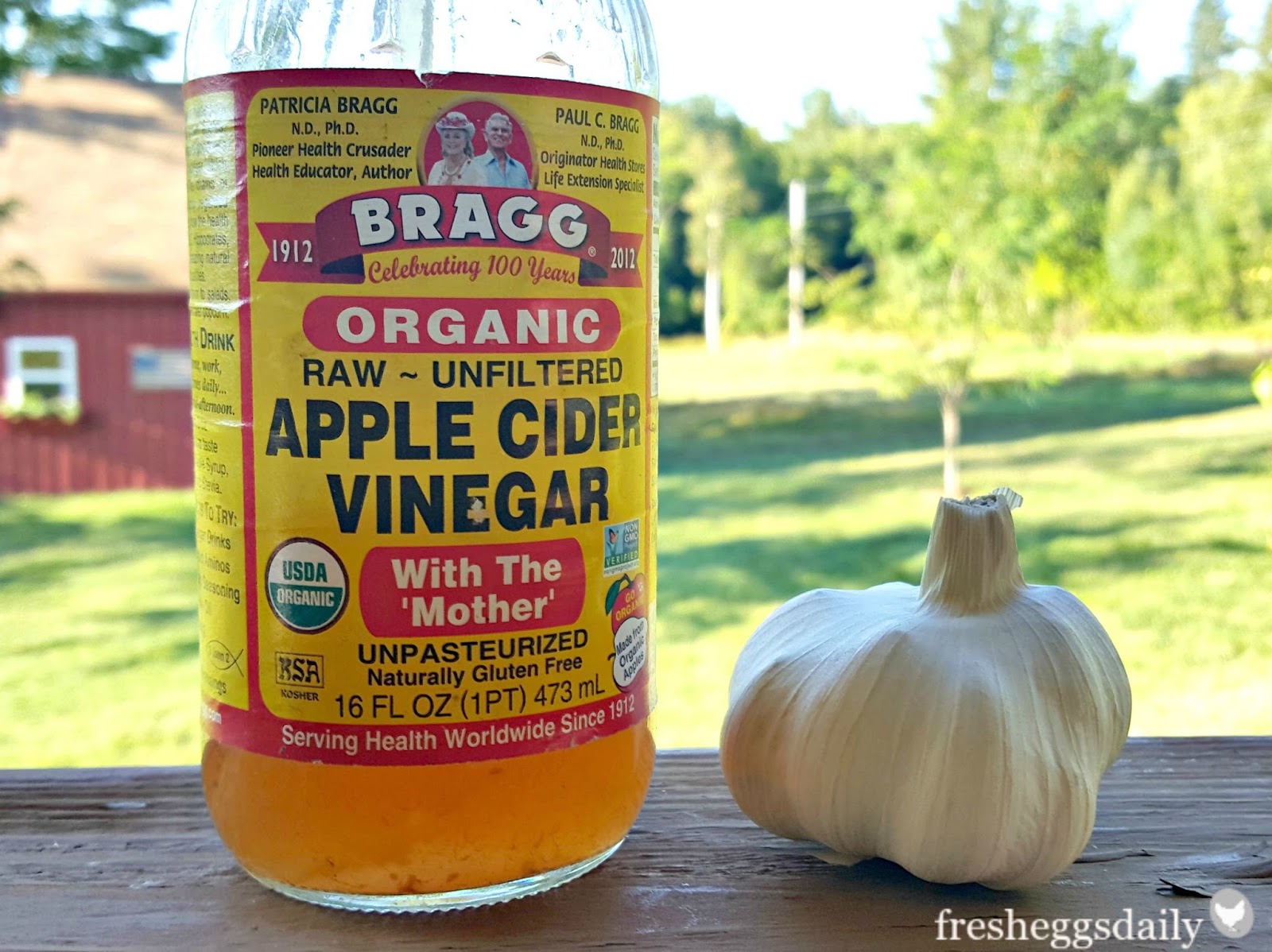 Make your own Homemade Apple Cider Vinegar Fresh Eggs Daily®