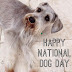 Διεθνής Ημέρα σκύλου...