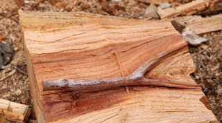 A split log with a twig in its centre A split log with a twig in its centre