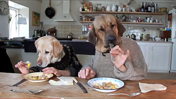 dogs dining