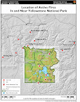 Local Active Fires
