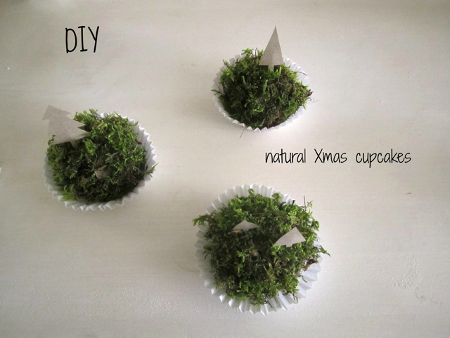 DIY natural moss cupcakes Srta Malasuerte