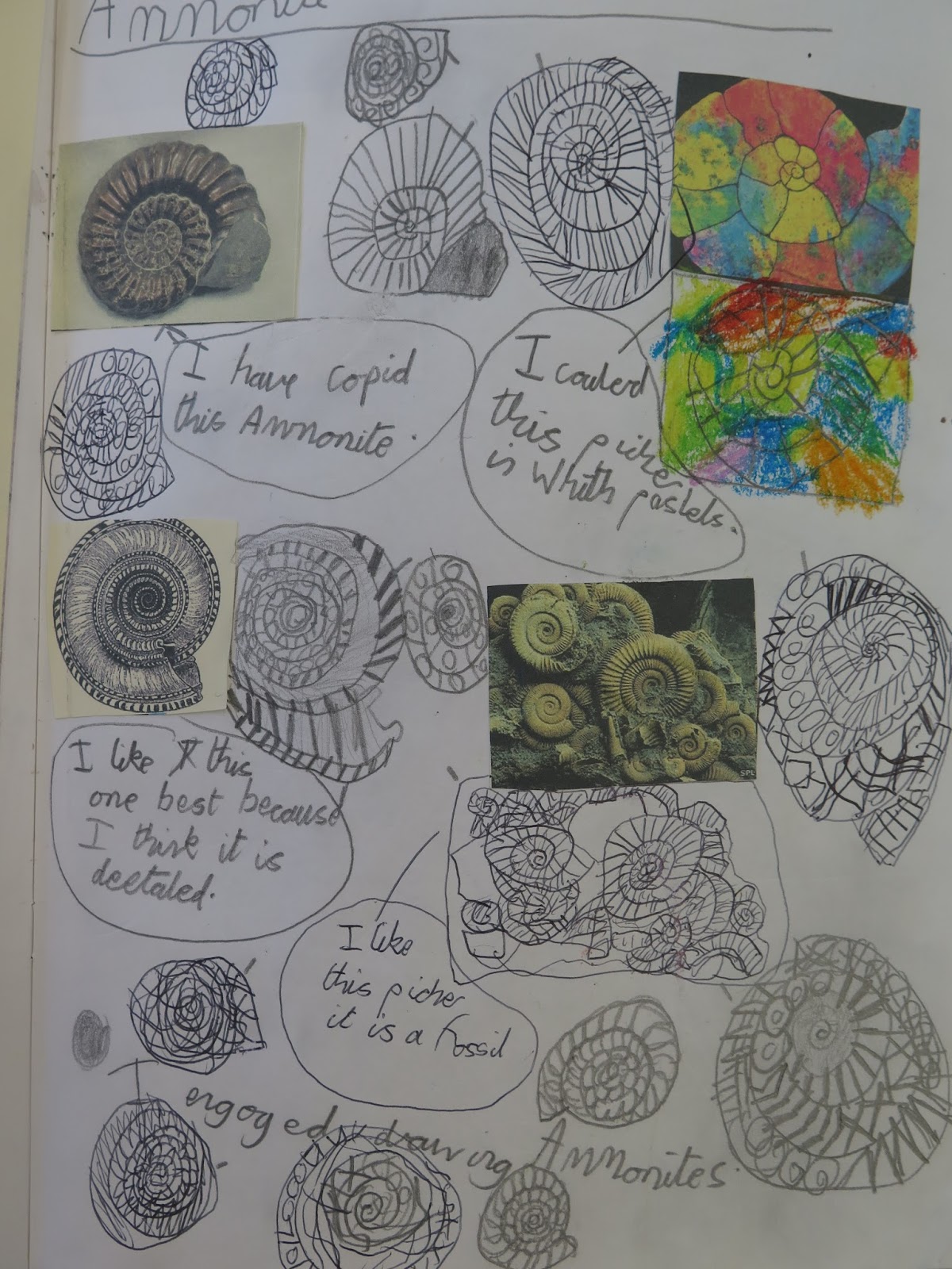 Gomersal Primary School Art Example Sketchbook pages Year 3