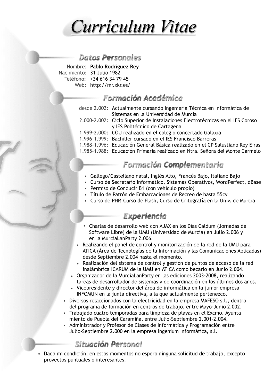 formatos de cv en word