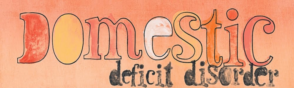 Domestic Deficit Disorder
