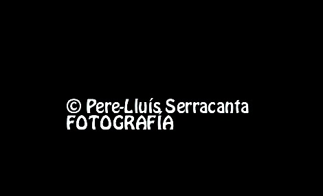 © Pere-Lluís Serracanta fotografía