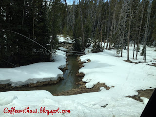 Snowy Stream Yellowstone