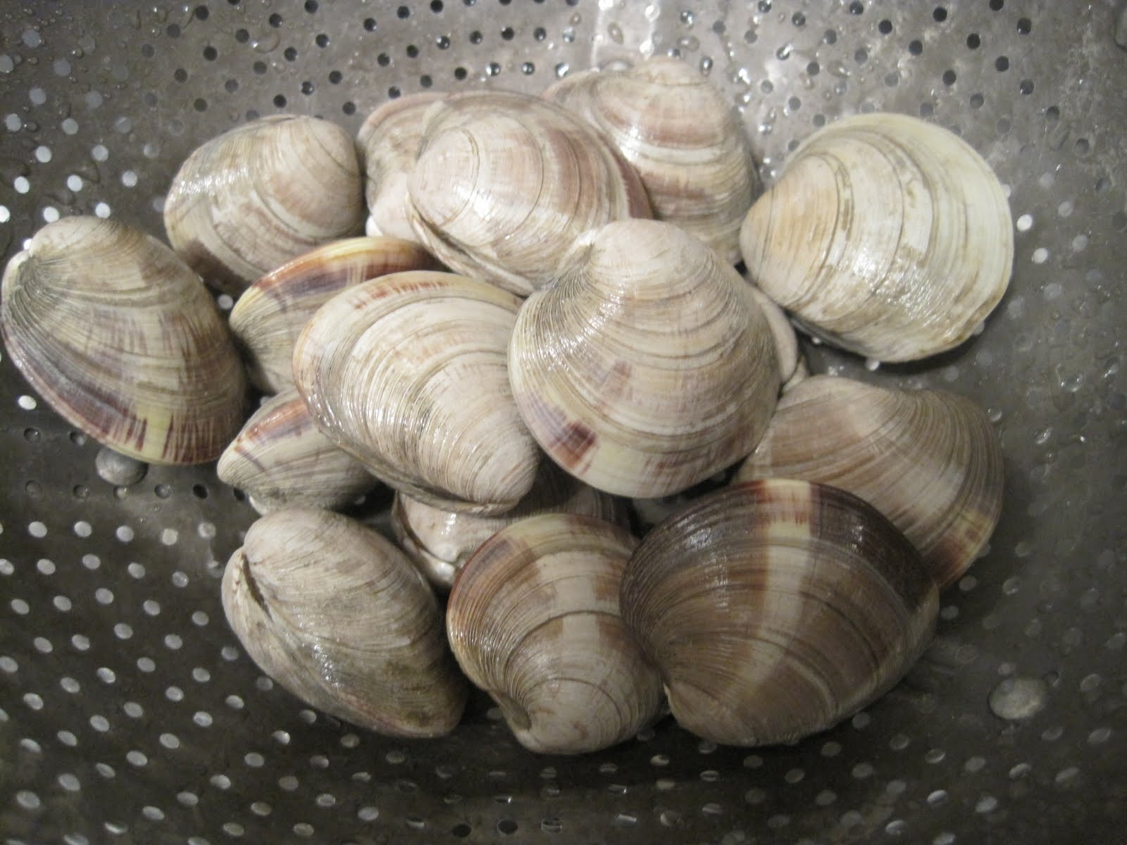 Corcoran Street Kitchen Roasted Chiopino with Clams, Shrimp, and Fish