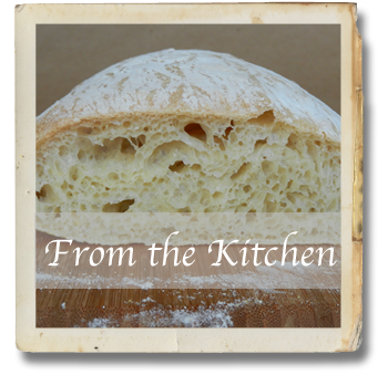 Ciabatta Bread