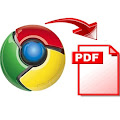 Chrome updated Chrome for iOS PDF