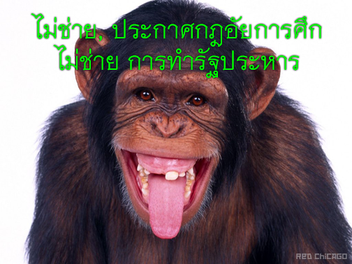 ไม่ช่าย,