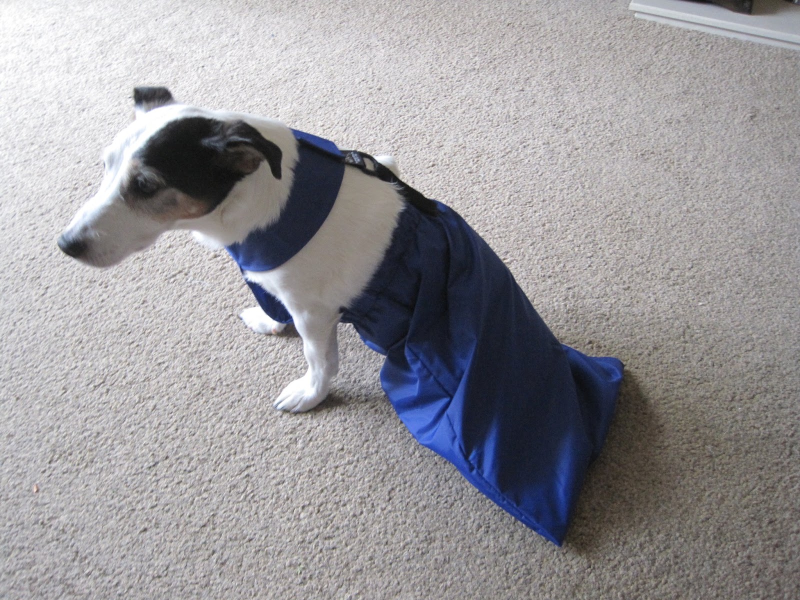 Handicapped Pets Drag Bag for Paralyzed Pets