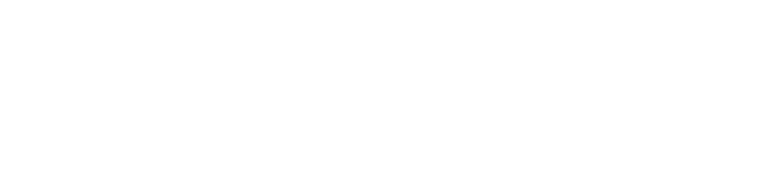 The official Duo companion page