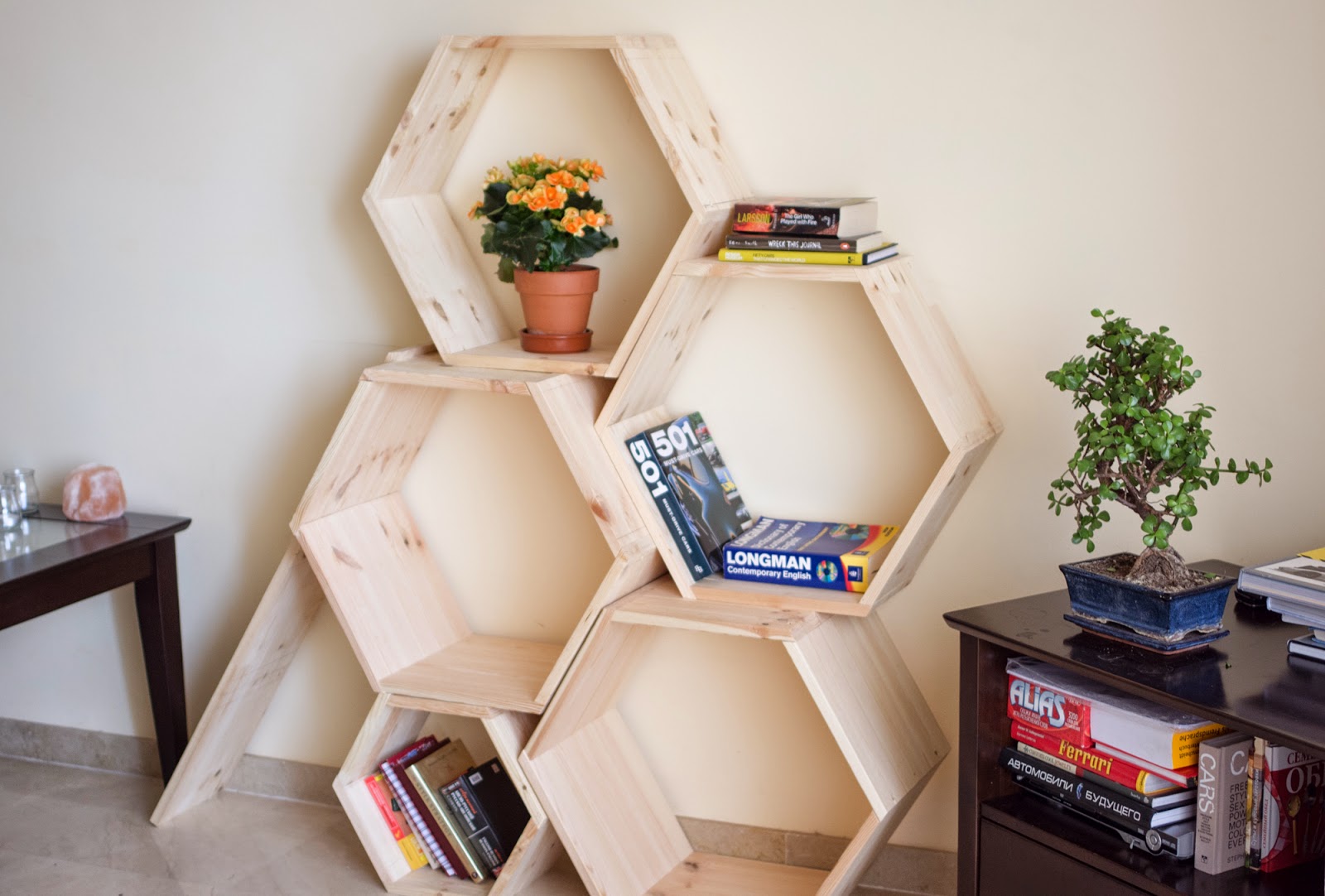 Hexagon Bookshelf and Cat Tree DIY Jukuka