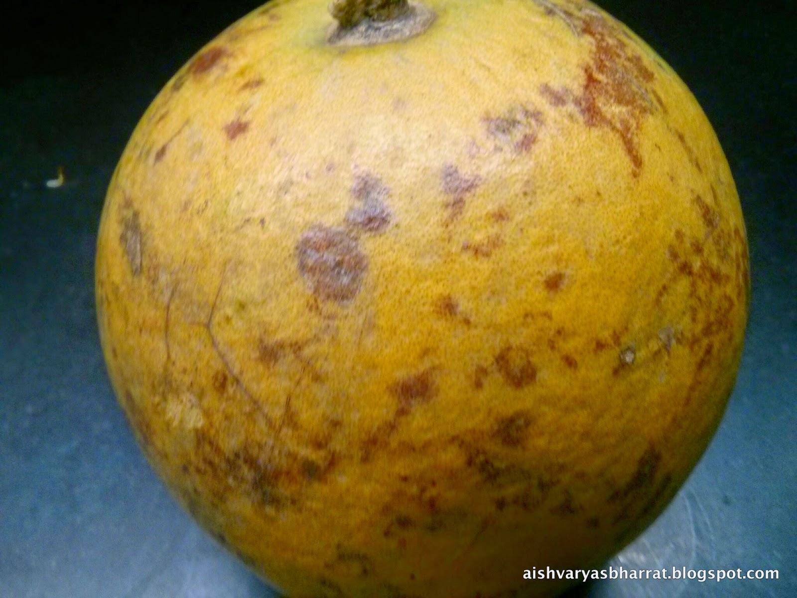 Aishvarya's Kitchen BEL KA SHARBAT (WOOD APPLE SQUASH) बेल का शरबत