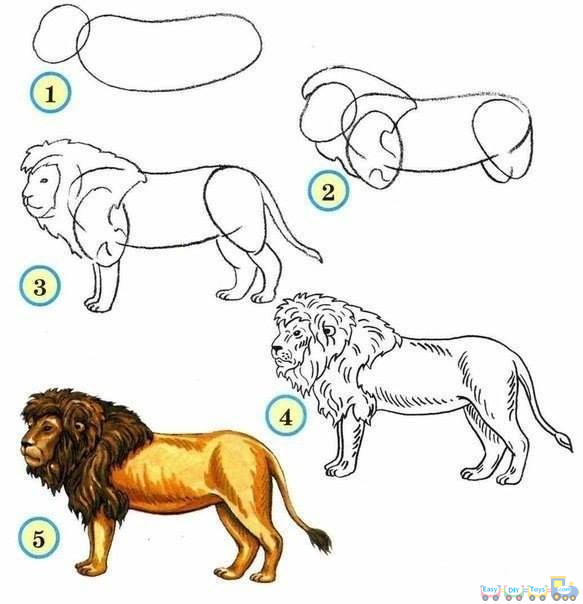 Drawing Simple Animal Lion pics Drawing Simple Animal Lion pics