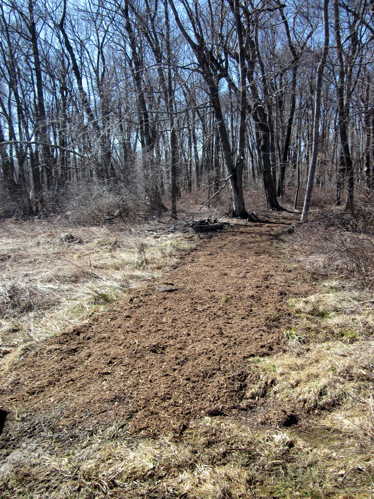 Shelton Trails Committee Clear as mud (but it covers the ground)