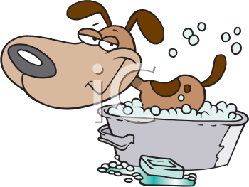 Giving Your Dog A Sponge Bath Giving Your Dog A Sponge Bath