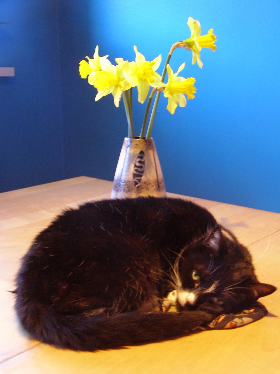 words and ideas, poetry and images St David's Day cat. Daffodils & the