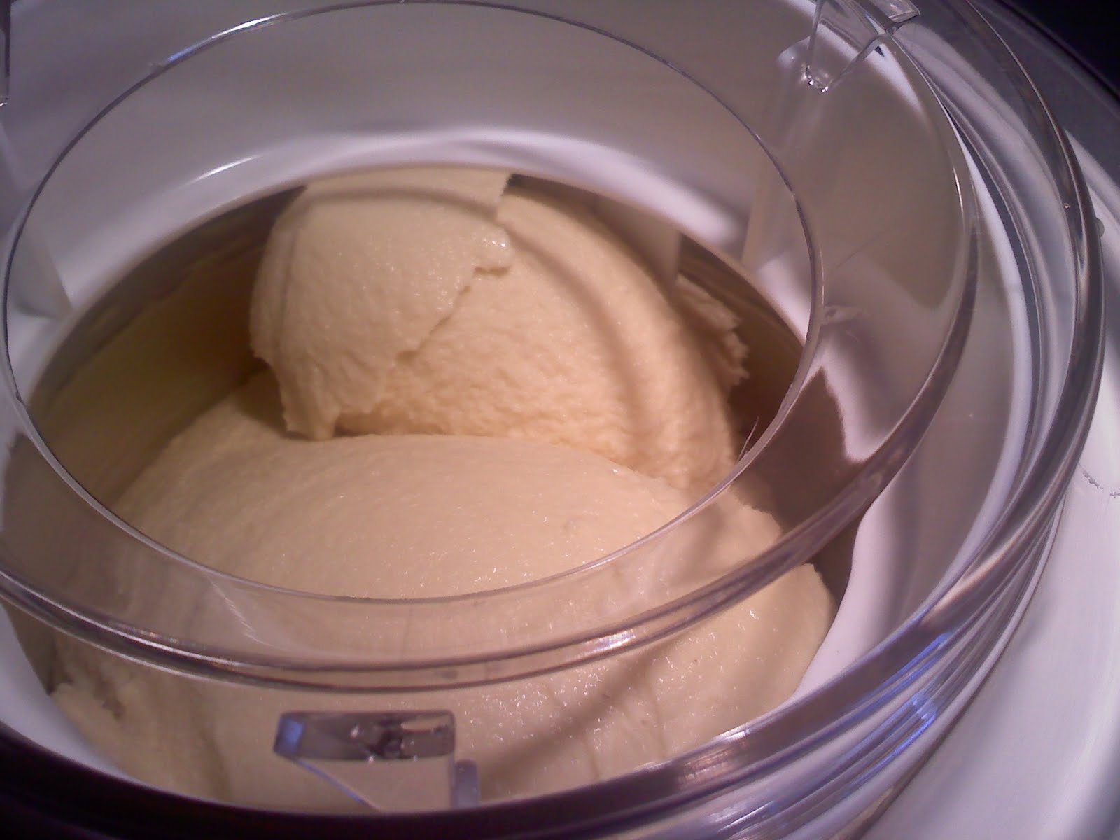 vanilla custard ice cream cuisinart
