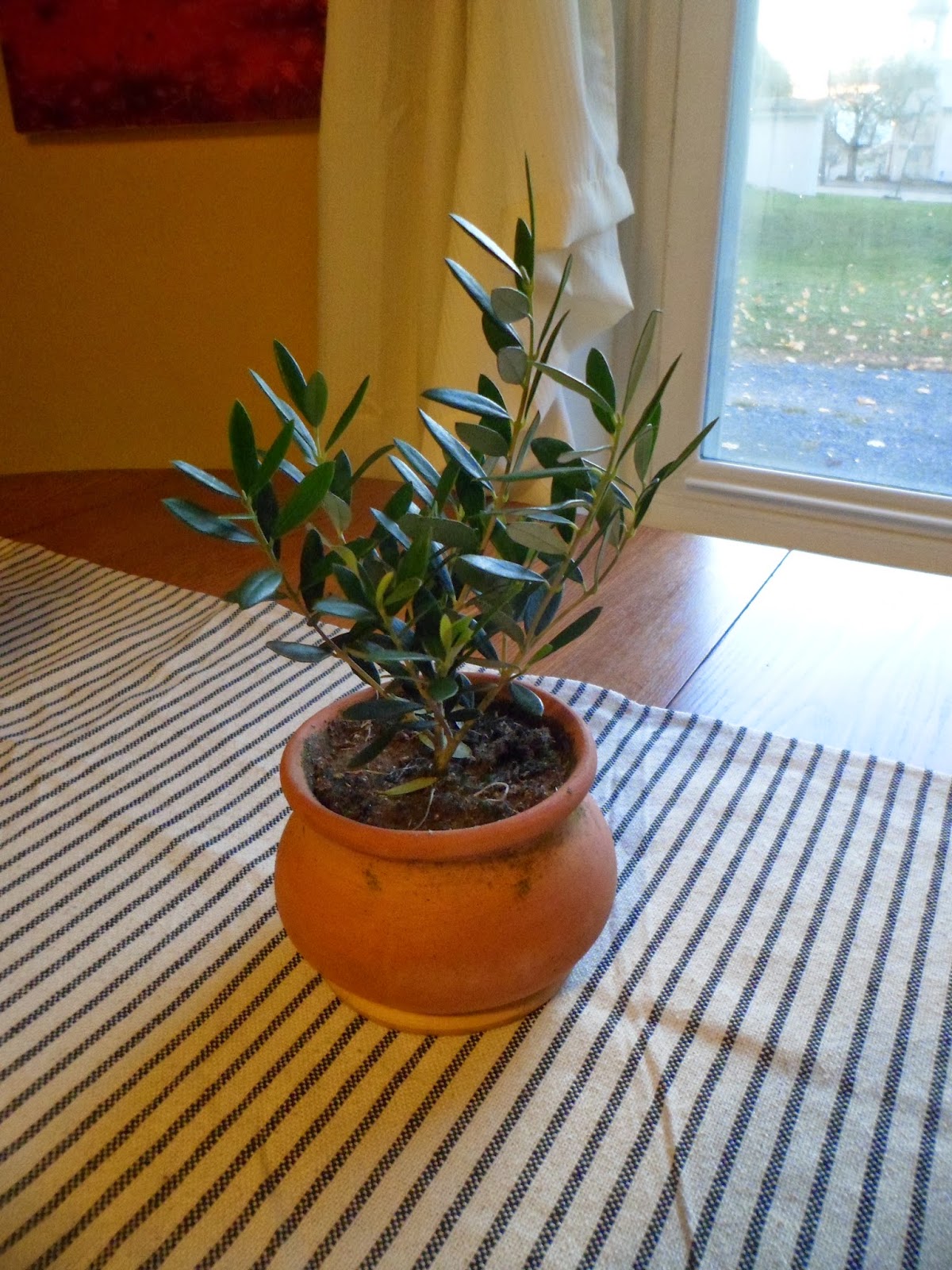 Sweet Simplicity by Elle Olive Topiary Tree