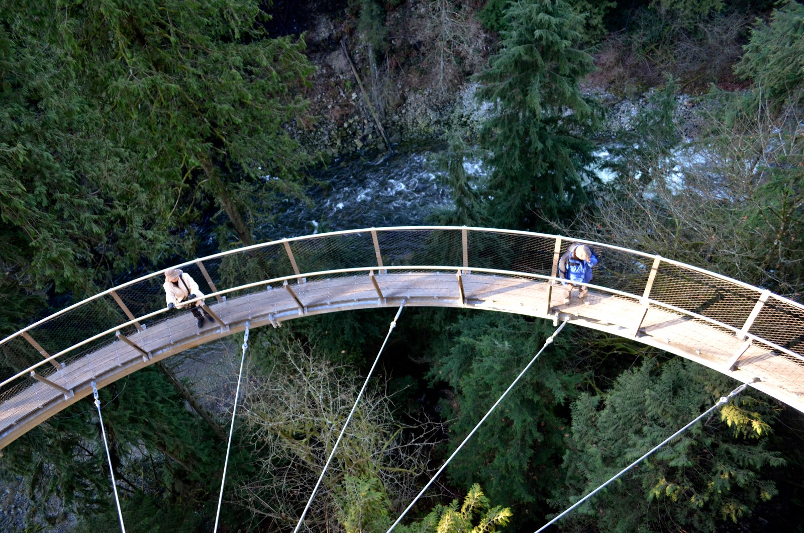 Photography in My Life Capilano Suspension Bridge