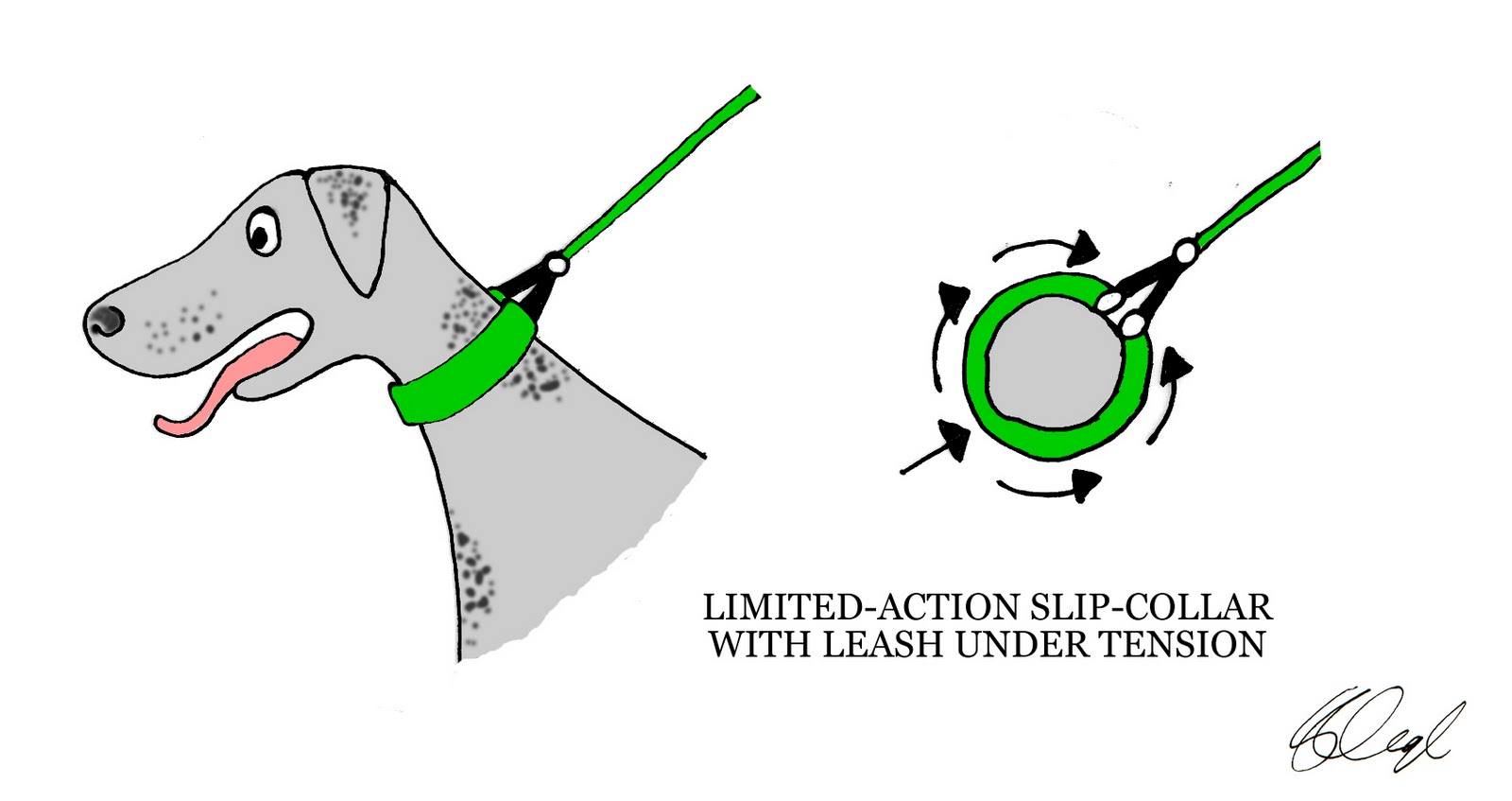 Are Head Collars Bad For Dogs