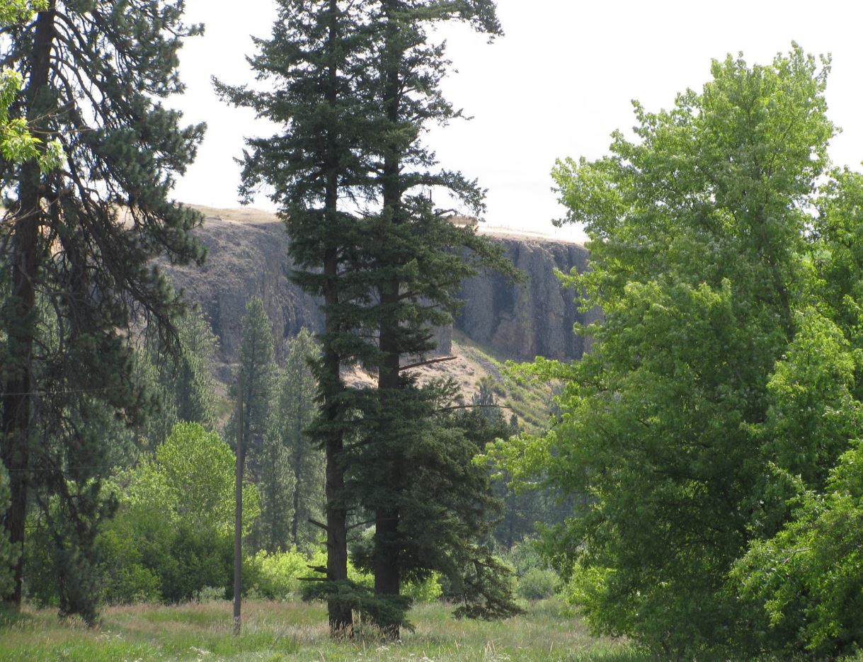 Palouse, Elberton and Ainsworth Railroad History Snapshot Elberton