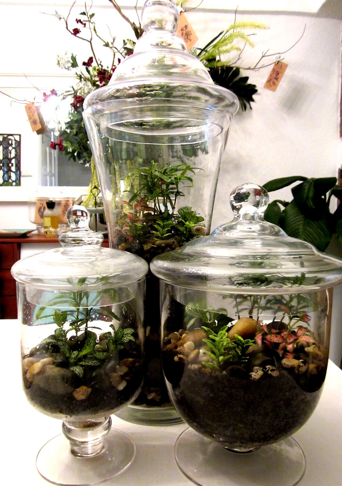 Creating and Designing Potted Plants, Terrariums and Miniplantscapes Enclosed Terrariums