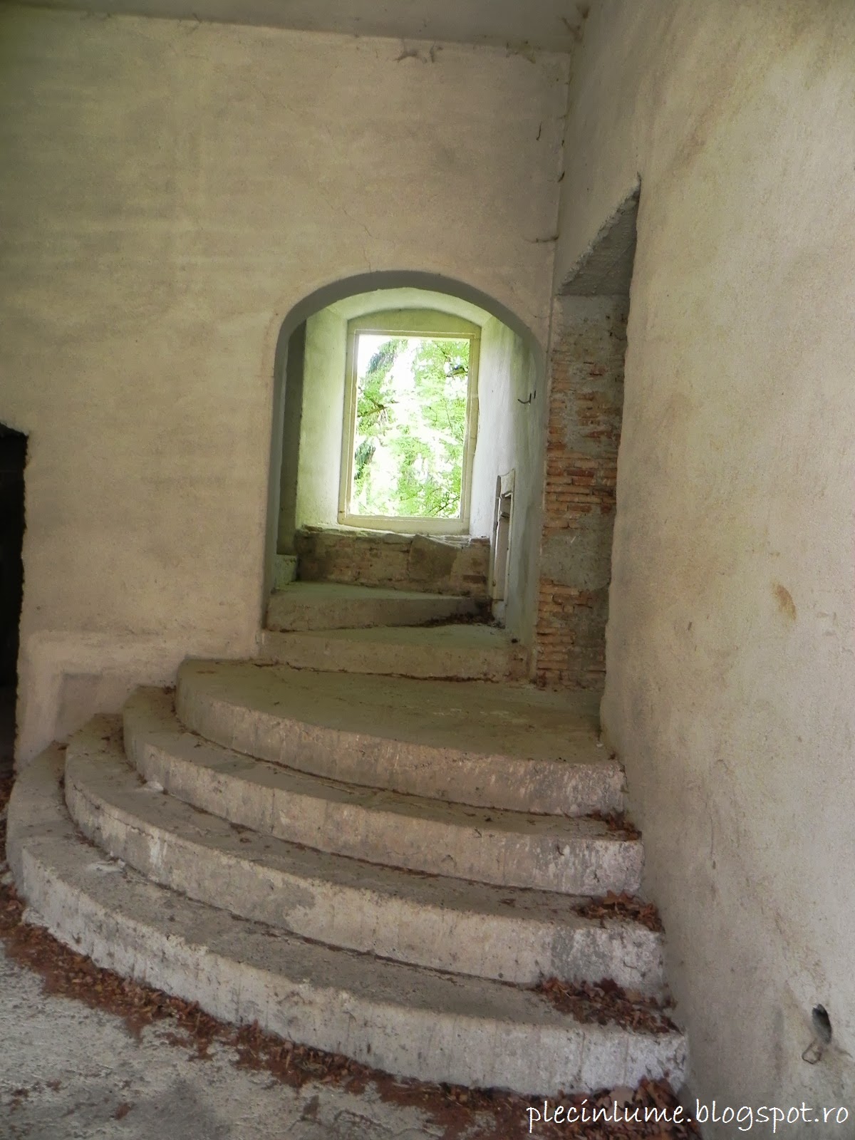 Scara interioara in castel Scara interioara in castel